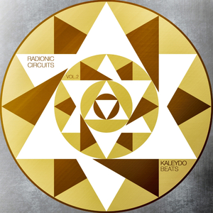 Hidron (Original Mix)
