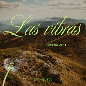 Las vibras