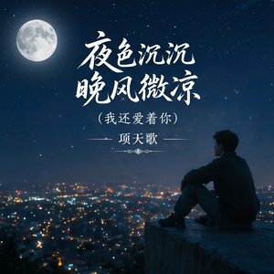 夜色沉沉晚风微凉(我还爱着你)