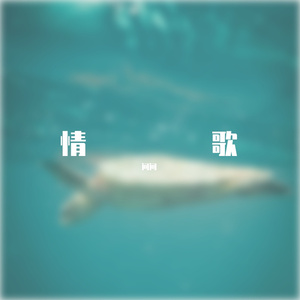 情歌