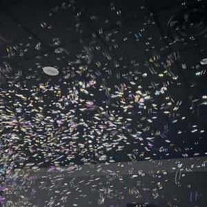 他开车撞毁生活