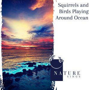 Squirrel at Ocean surface