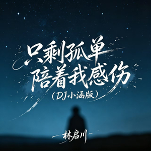 只剩孤单陪着我感伤（DJ小涵版）