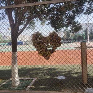 今天有好好吃饭吗