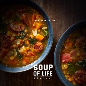 Soup of Life