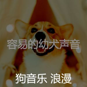 温和幼犬梦想