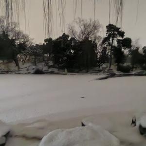 局部气候（女声版）_176.4khz_16bit