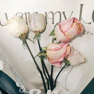 罗曼蒂克 （prod by 金桔0RANG3）