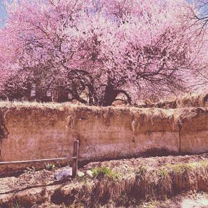 爱情啊（夜空中最闪亮的星OST）