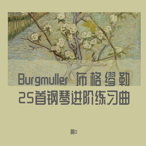 20 塔兰泰拉舞曲 tarantelle