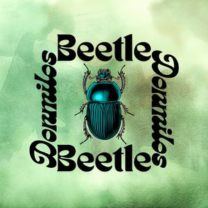Beetle