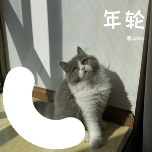 年轮