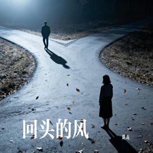 回头的风