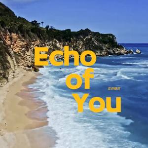 Echo of You