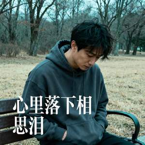 心里落下相思泪