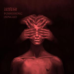 Possessing (Single Version)