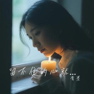 留不住的心就放弃 (青墨 Remix)