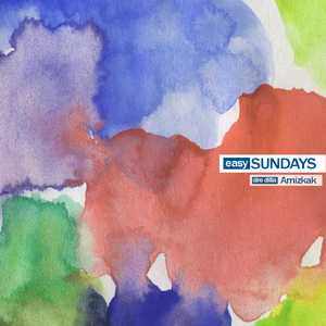 Amizkak (Original Mix)