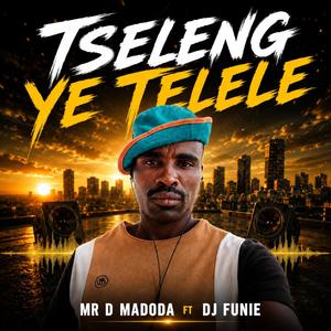 Tseleng ye telele