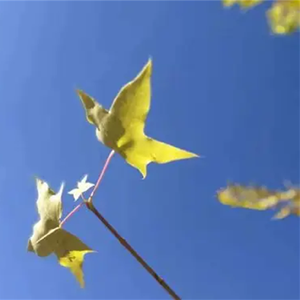 我的一切无人问起 (烟嗓版)