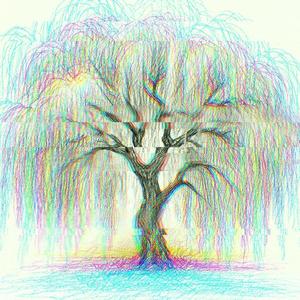 the willow tree (feat. Erin Rae)