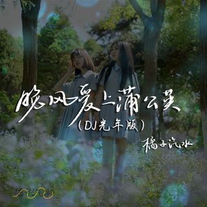 晚风爱上蒲公英 (DJ版)