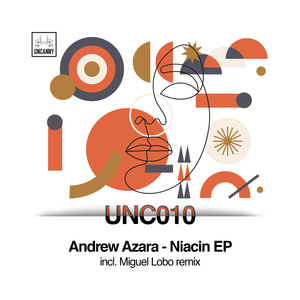 Niacin (Miguel Lobo Remix)
