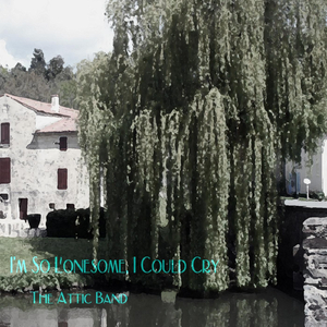 I'm so Lonesome, I Could Cry