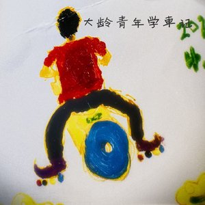 大龄少年学车记