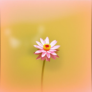 Tak Perlu Banyak Teman