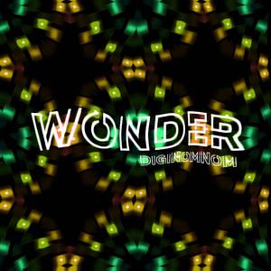 Wonder