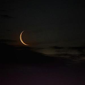 最相爱的朋友（电视剧《我只喜欢你》插曲）（翻自 马栗）