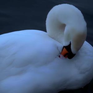 Hamartia (ἁμαρτία)