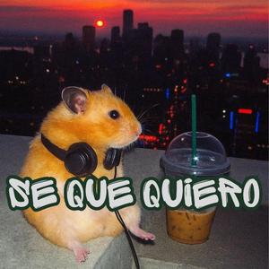Se Que Quiero