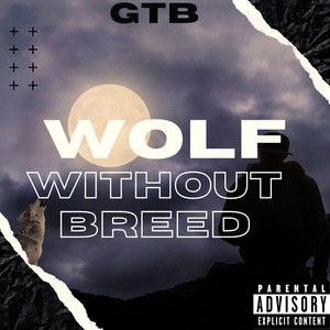 Wolf Without Breed