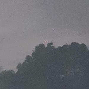 初遇时，你眼里闪烁的光