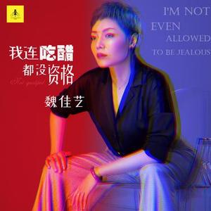 我连吃醋都没资格 (DJ版)