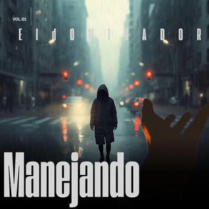 Manejando