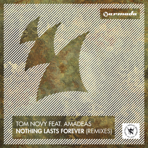 Nothing Lasts Forever (Schwarz 100 Radio Edit)