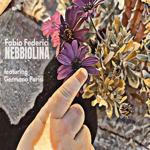 Nebbiolina