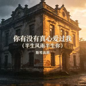 你有没有真心爱过我（半生风雨半生你）
