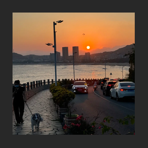 "后座"旋律&罗言&张方钊Type Beat