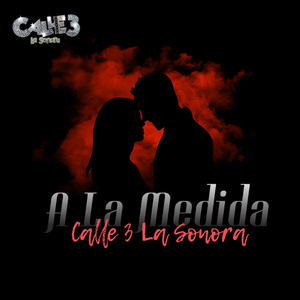 A la Medida
