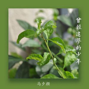 曾经追梦的少年