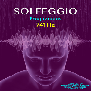 Clean Yourself From Harmful Magnetic Radiations