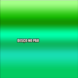 DESÇO NO PAU
