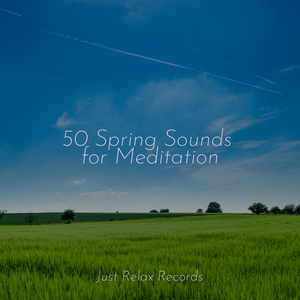 Meditative Flowing Waves