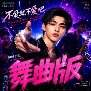 不爱就不爱吧(舞曲版)