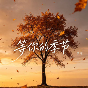 等你的季节（等夏天等秋天）