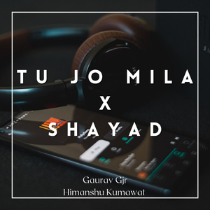 Tu Jo Mila X Shayad (Slowed Reverb)